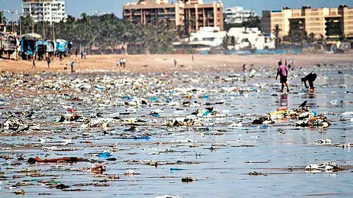 Грязные пляжи гоа Грязные пляжи гоа